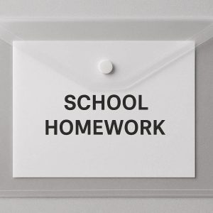 Clear Plastic Document Folder Envelope with Snap Button Closure for School Homework Organization